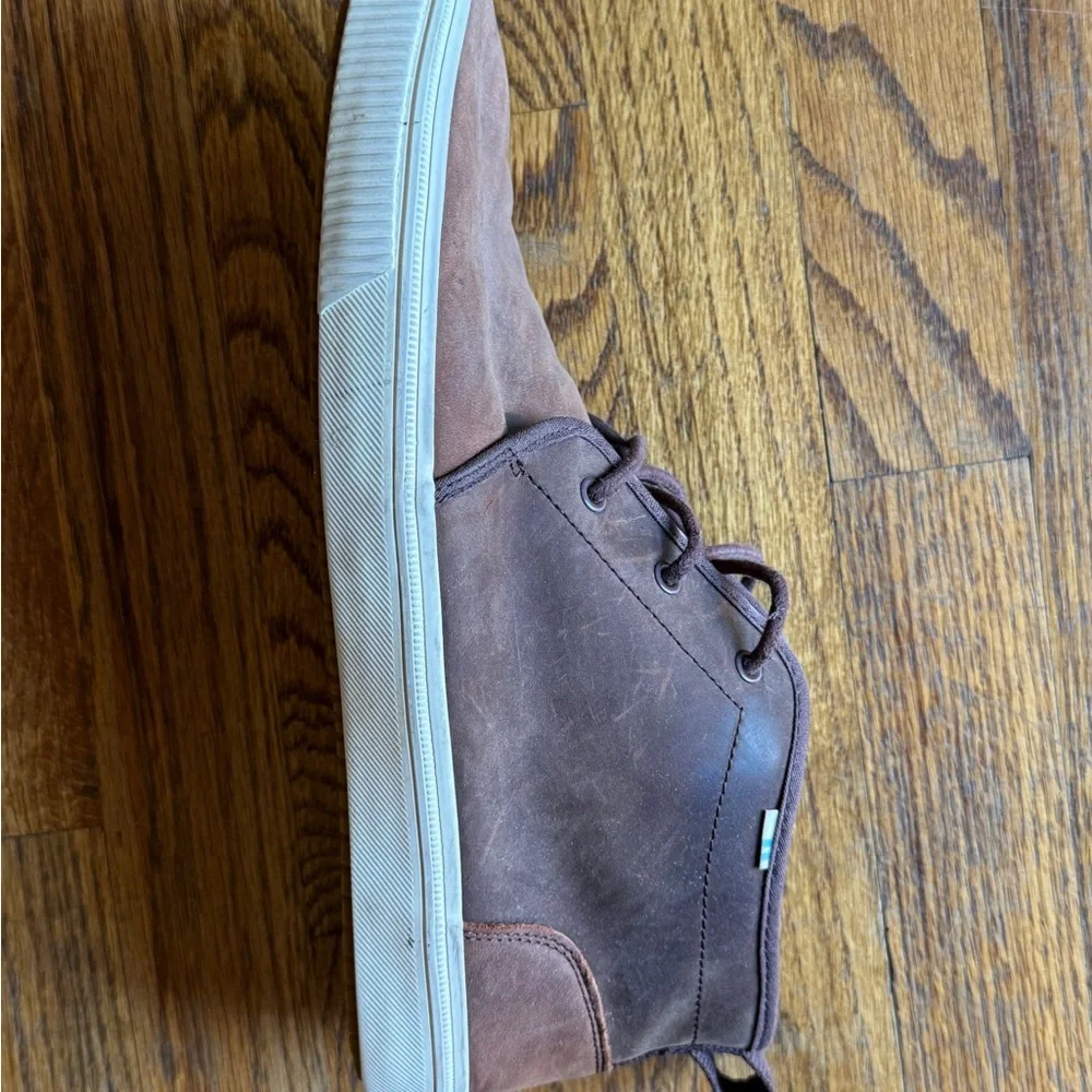 Toms stylish brown
